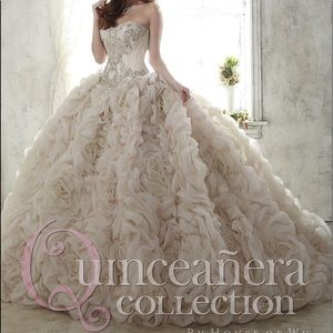 Quinceañera Dress by Quinceañera Collection